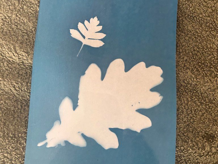 Nature Bookmark