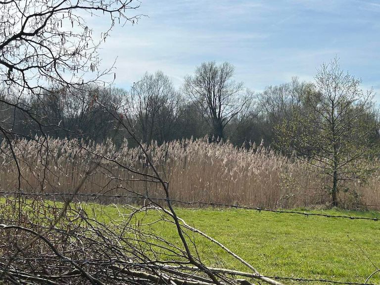 Thrupp Lake Abingdon