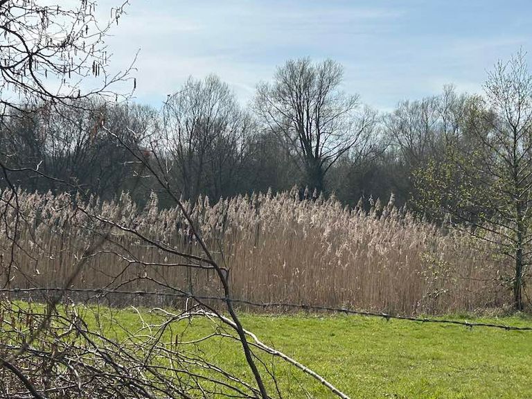 Thrupp Lake Abingdon